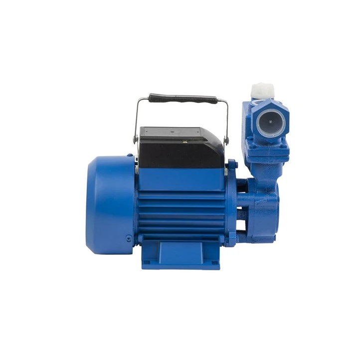 Garden Irrigation Water Transfer IZDB-35 35m Head Self-Priming Pump factory